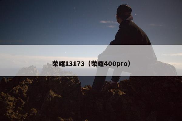 荣耀13173（荣耀400pro）
