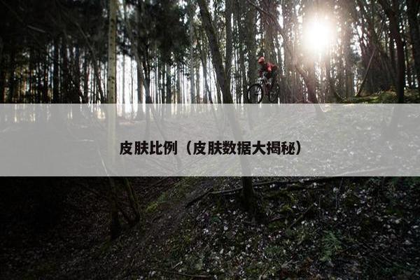 皮肤比例（皮肤数据大揭秘）