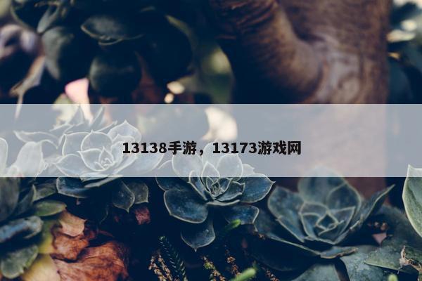 13138手游，13173游戏网