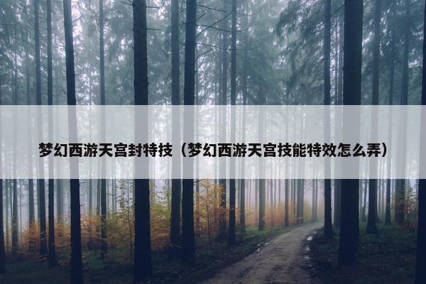 梦幻西游天宫封特技（梦幻西游天宫技能特效怎么弄）