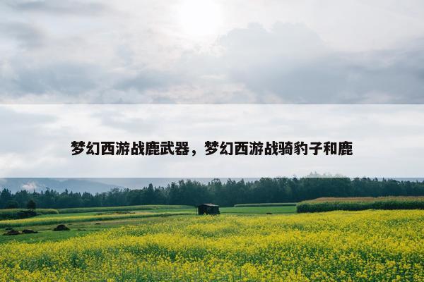 梦幻西游战鹿武器，梦幻西游战骑豹子和鹿