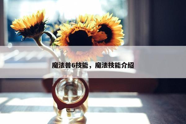 魔法兽6技能，魔法技能介绍
