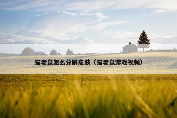 猫老鼠怎么分解皮肤（猫老鼠游戏视频）