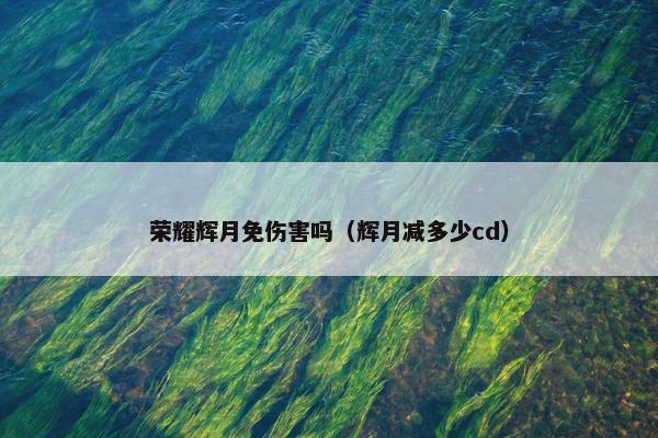 荣耀辉月免伤害吗（辉月减多少cd）