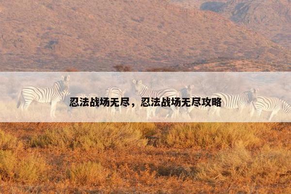 忍法战场无尽，忍法战场无尽攻略
