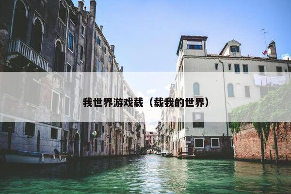 我世界游戏载（载我的世界）