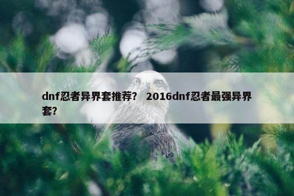 dnf忍者异界套推荐？ 2016dnf忍者最强异界套？
