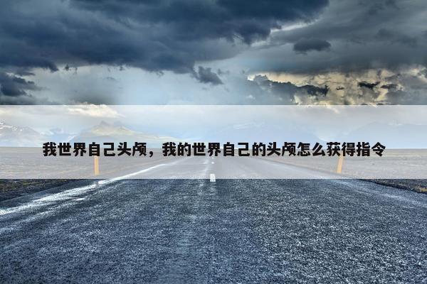 我世界自己头颅，我的世界自己的头颅怎么获得指令