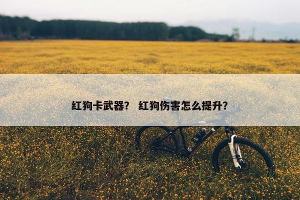 红狗卡武器？ 红狗伤害怎么提升？
