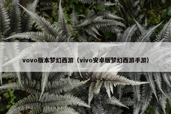vovo版本梦幻西游（vivo安卓版梦幻西游手游）