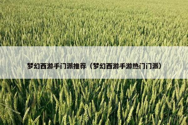 梦幻西游手门派推荐（梦幻西游手游热门门派）