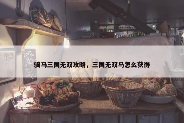 骑马三国无双攻略，三国无双马怎么获得
