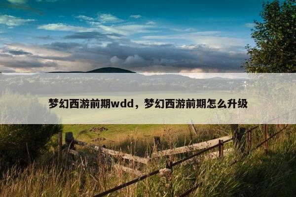 梦幻西游前期wdd，梦幻西游前期怎么升级