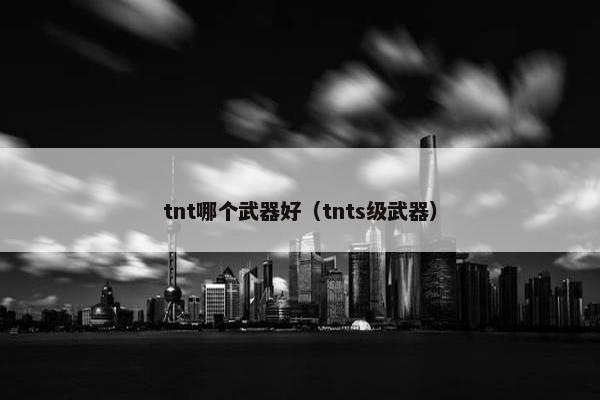 tnt哪个武器好（tnts级武器）
