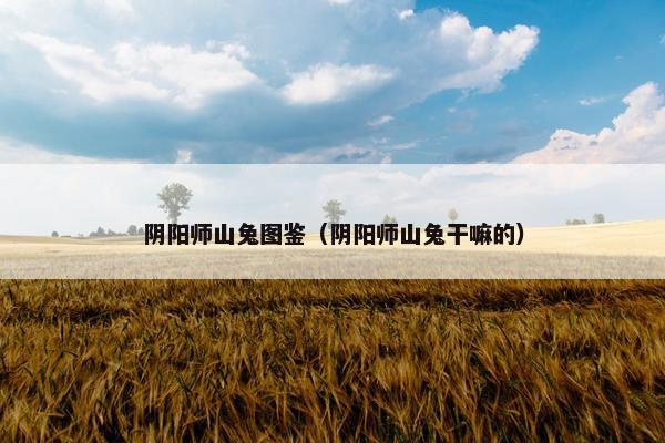 阴阳师山兔图鉴（阴阳师山兔干嘛的）