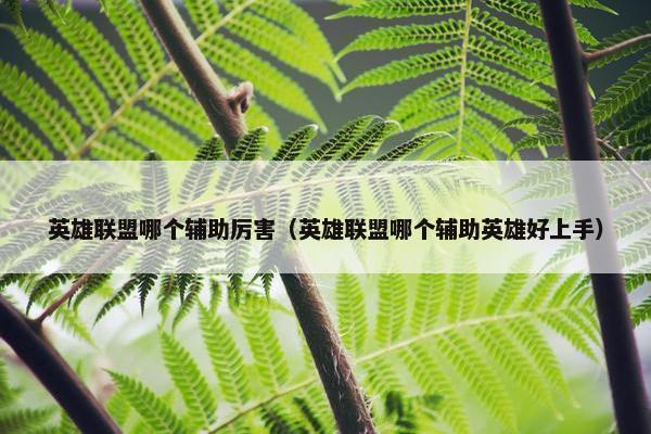 英雄联盟哪个辅助厉害（英雄联盟哪个辅助英雄好上手）