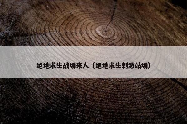 绝地求生战场来人（绝地求生刺激站场）