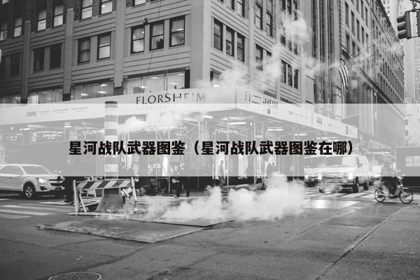 星河战队武器图鉴（星河战队武器图鉴在哪）