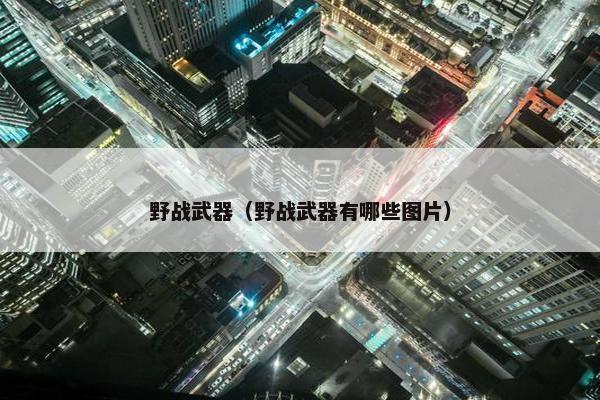野战武器（野战武器有哪些图片）