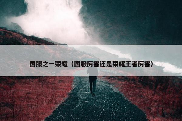 国服之一荣耀（国服厉害还是荣耀王者厉害）