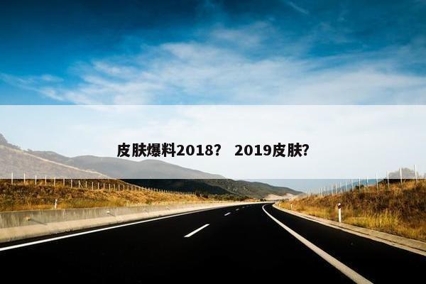 皮肤爆料2018？ 2019皮肤？