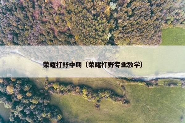 荣耀打野中期（荣耀打野专业教学）