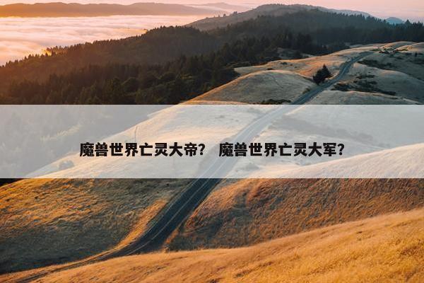 魔兽世界亡灵大帝？ 魔兽世界亡灵大军？