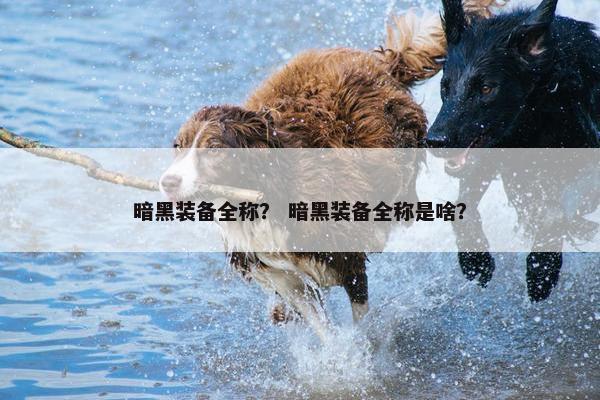 暗黑装备全称？ 暗黑装备全称是啥？