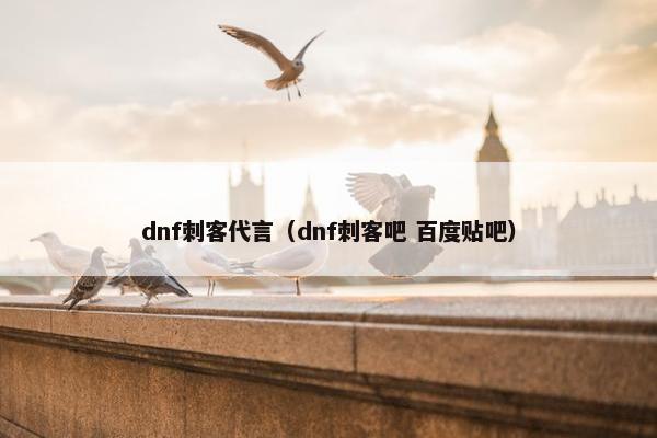 dnf刺客代言（dnf刺客吧 百度贴吧）