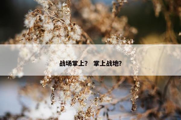 战场掌上？ 掌上战地？