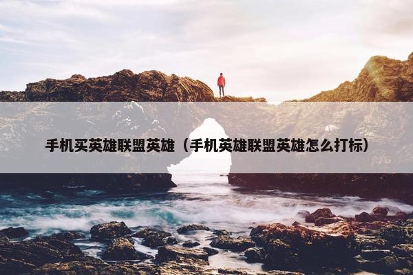 手机买英雄联盟英雄（手机英雄联盟英雄怎么打标）