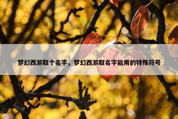 梦幻西游取个名字，梦幻西游取名字能用的特殊符号