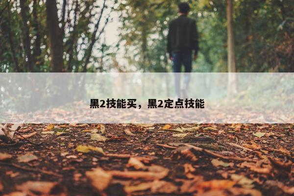 黑2技能买，黑2定点技能