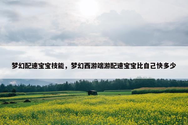 梦幻配速宝宝技能，梦幻西游端游配速宝宝比自己快多少