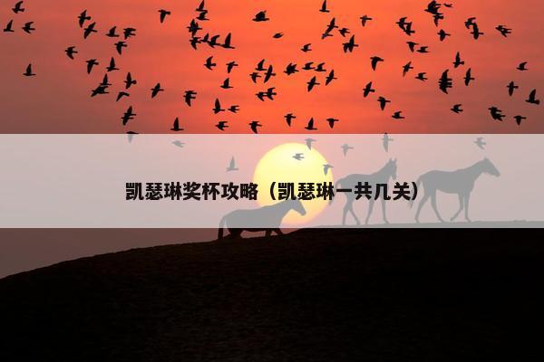 凯瑟琳奖杯攻略（凯瑟琳一共几关）
