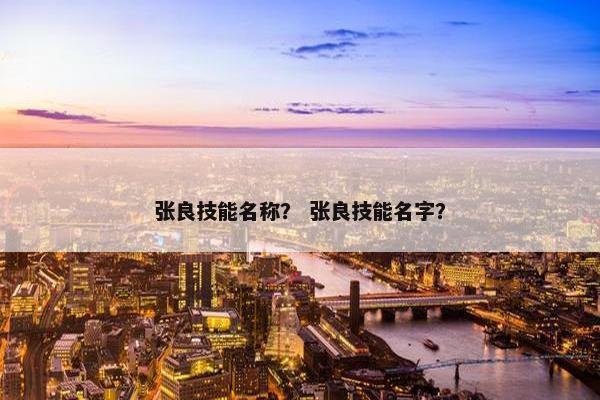 张良技能名称？ 张良技能名字？