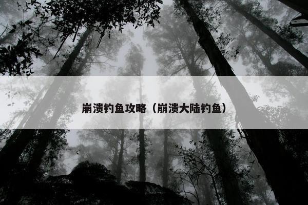 崩溃钓鱼攻略（崩溃大陆钓鱼）