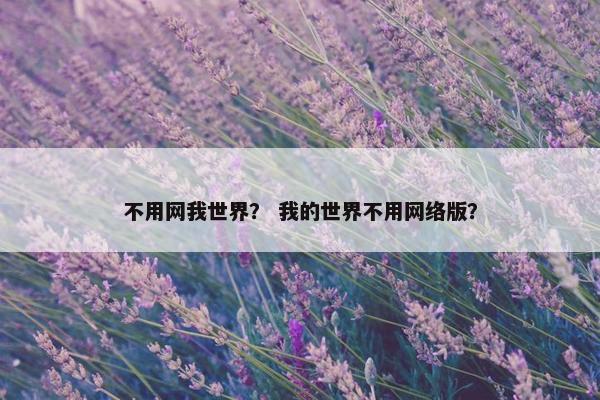 不用网我世界？ 我的世界不用网络版？