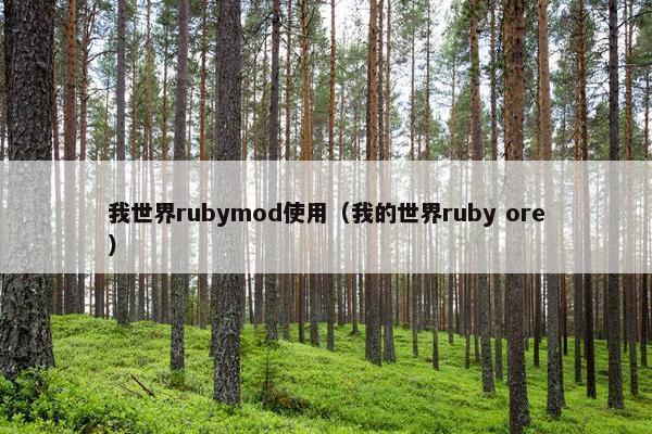 我世界rubymod使用（我的世界ruby ore）