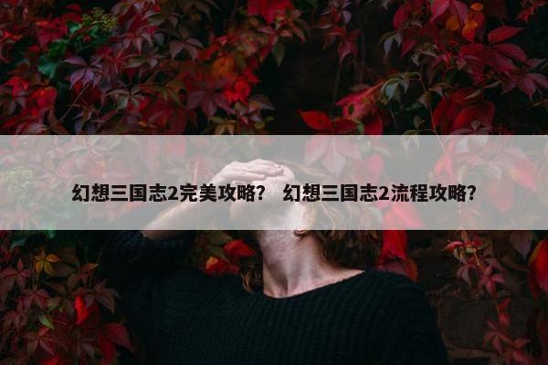 幻想三国志2完美攻略？ 幻想三国志2流程攻略？