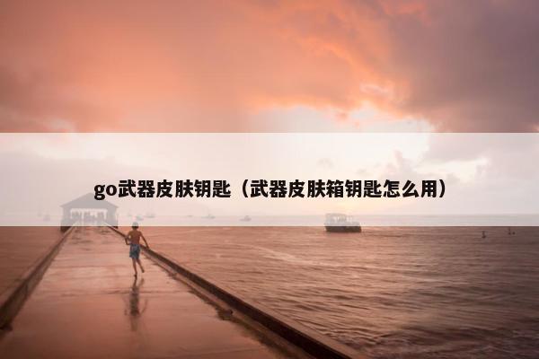 go武器皮肤钥匙（武器皮肤箱钥匙怎么用）
