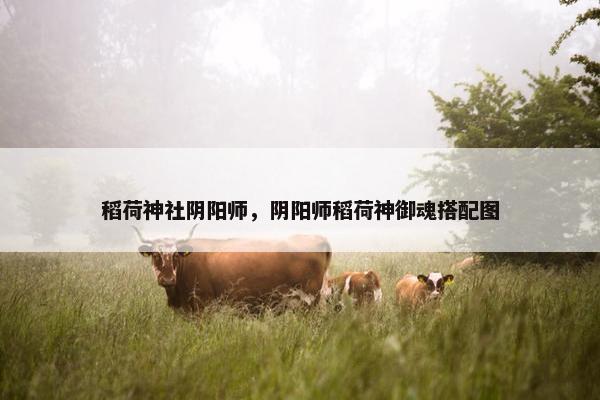 稻荷神社阴阳师，阴阳师稻荷神御魂搭配图