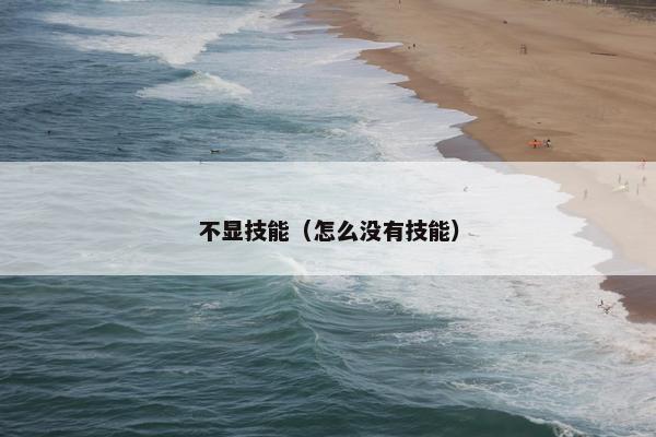 不显技能（怎么没有技能）