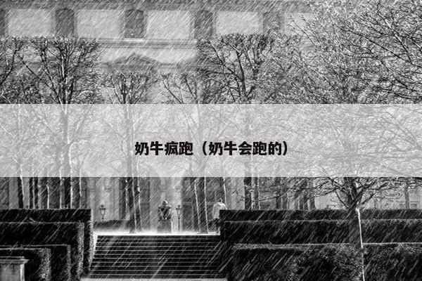 奶牛疯跑（奶牛会跑的）