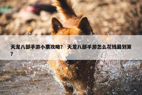 天龙八部手游小票攻略？ 天龙八部手游怎么花钱最划算？