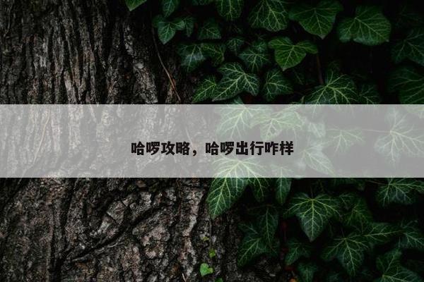 哈啰攻略，哈啰出行咋样