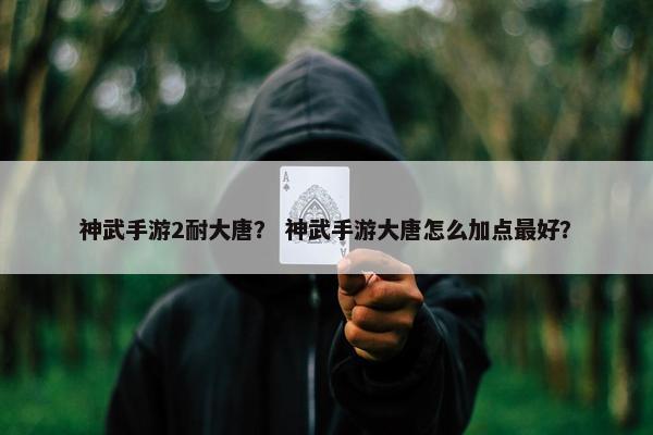 神武手游2耐大唐？ 神武手游大唐怎么加点最好？
