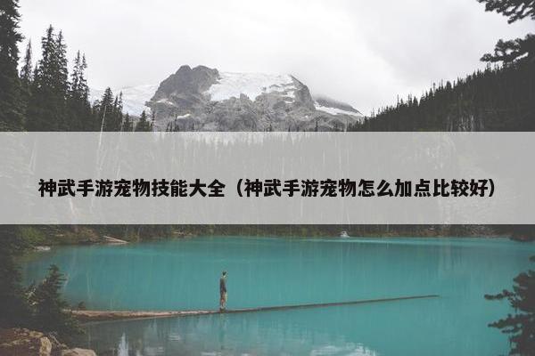 神武手游宠物技能大全（神武手游宠物怎么加点比较好）