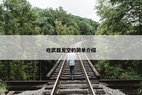 吃武器龙空的简单介绍