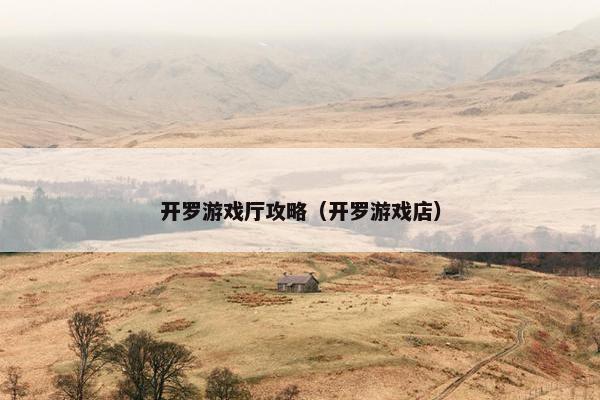 开罗游戏厅攻略（开罗游戏店）
